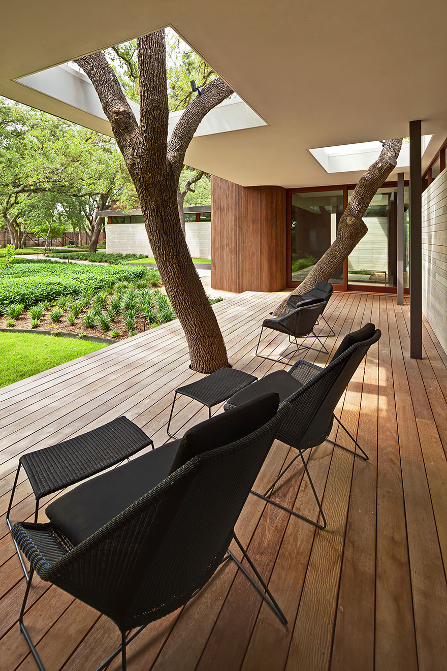 arquitectura-alrededor-arboles (12)