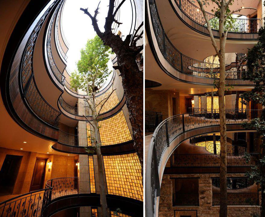 arquitectura-alrededor-arboles (13)