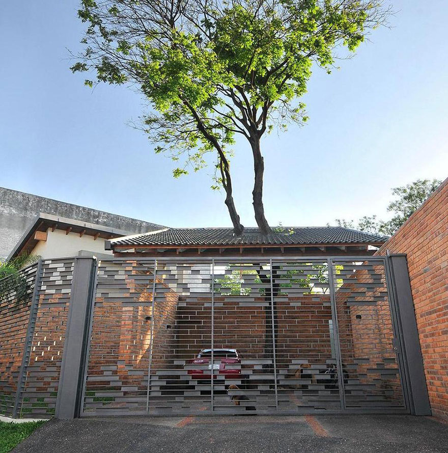 arquitectura-alrededor-arboles (3)