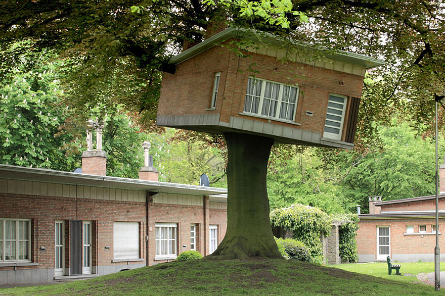 arquitectura-alrededor-arboles (4)