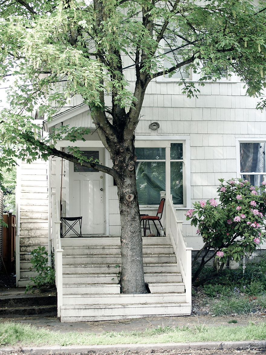 arquitectura-alrededor-arboles (6)