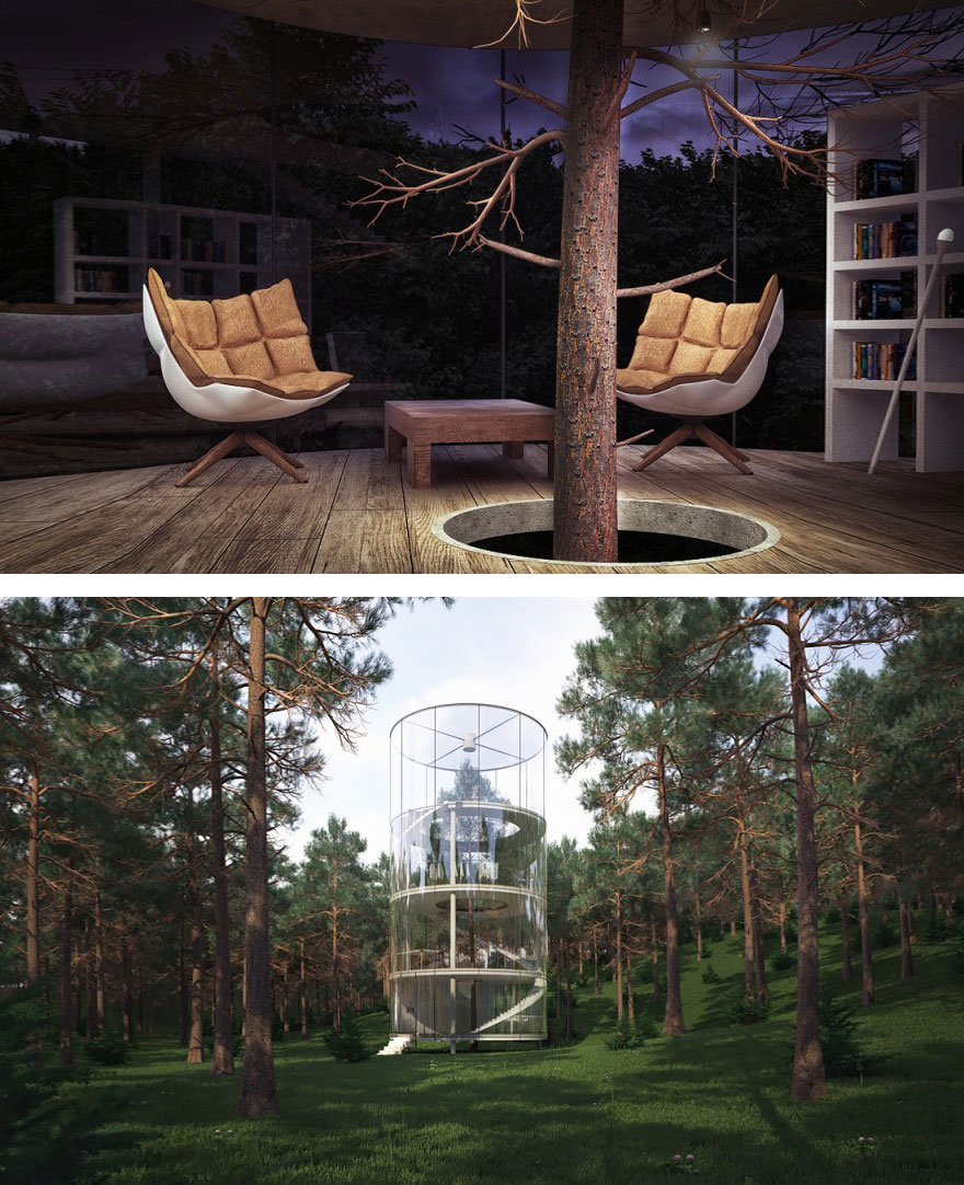 arquitectura-alrededor-arboles (7)