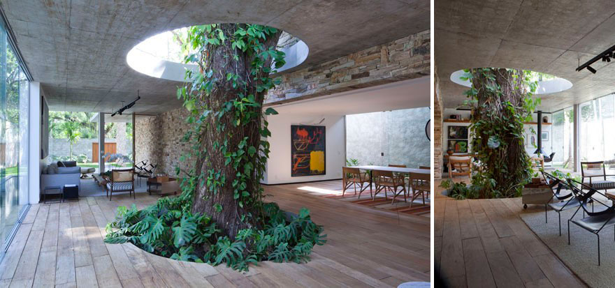 arquitectura-alrededor-arboles (8)