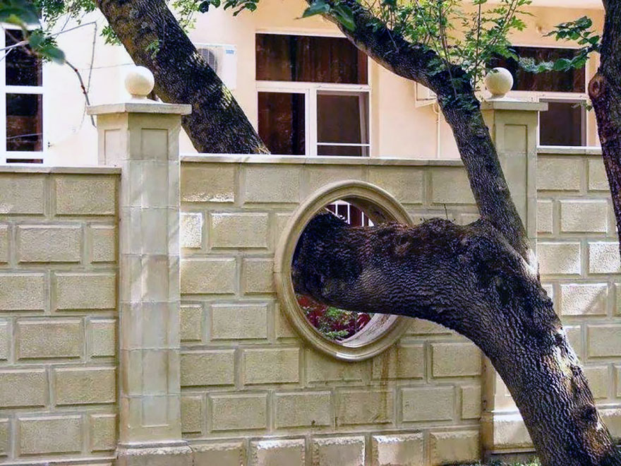 arquitectura-alrededor-arboles (9)