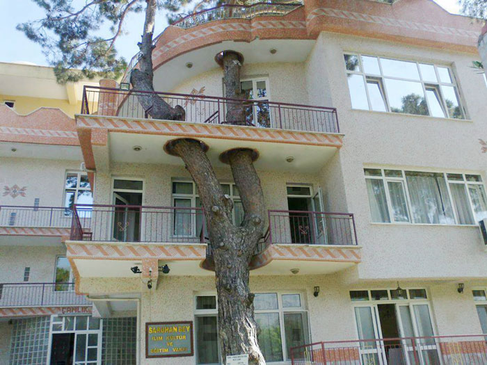 13 Edificios ingeniosos cuyos arquitectos se negaron a talar árboles