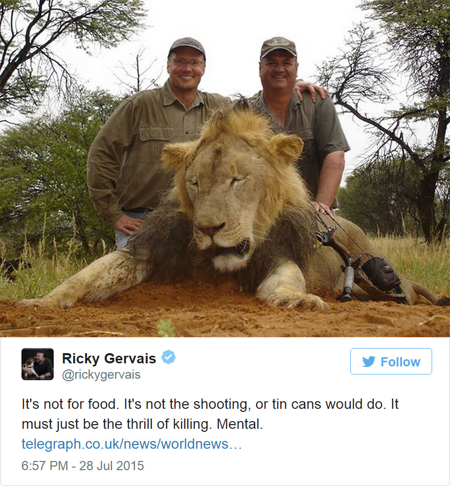 caza-ilegal-cecil-leon-zimbabue-walter-palmer (6)