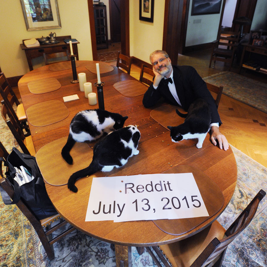 cena-elegante-gatos-solo-casa-greatcanine (2)