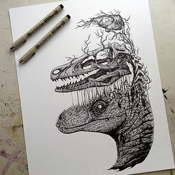 dibujos-esqueletos-animales-paul-jackson (1)
