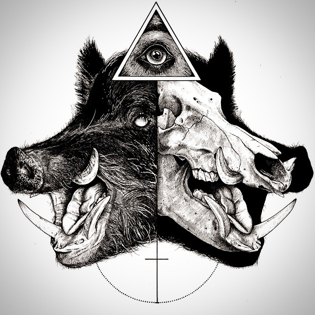 dibujos-esqueletos-animales-paul-jackson (11)