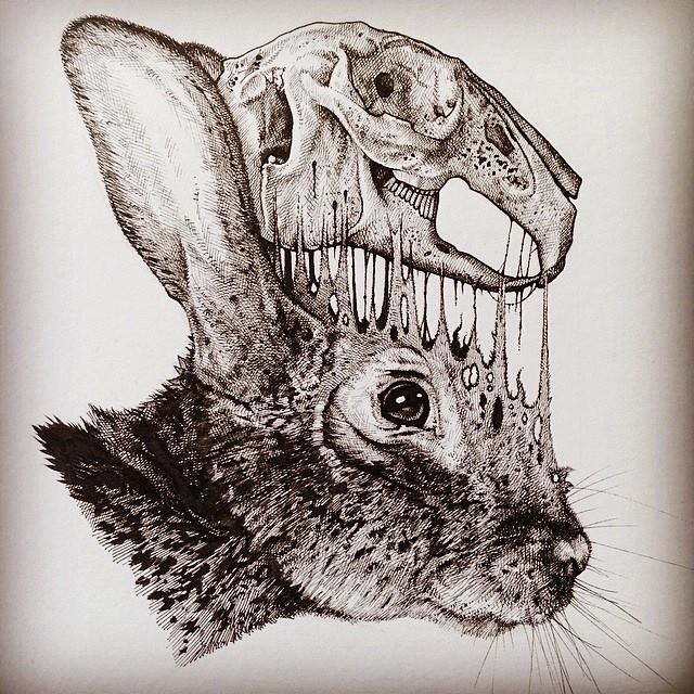 dibujos-esqueletos-animales-paul-jackson (13)
