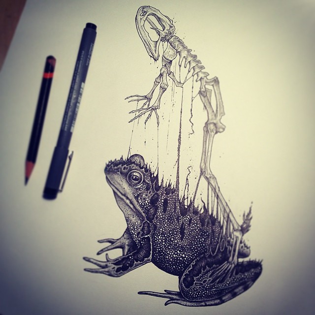 dibujos-esqueletos-animales-paul-jackson (3)