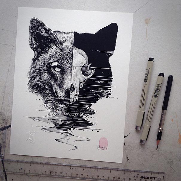 dibujos-esqueletos-animales-paul-jackson (7)