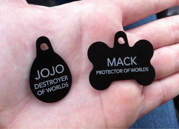 divertidos-collares-identificativos-mascotas (10)