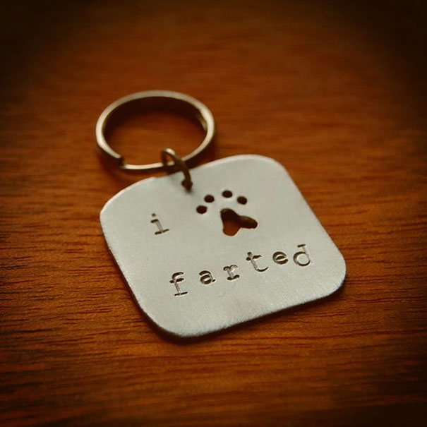 divertidos-collares-identificativos-mascotas (15)