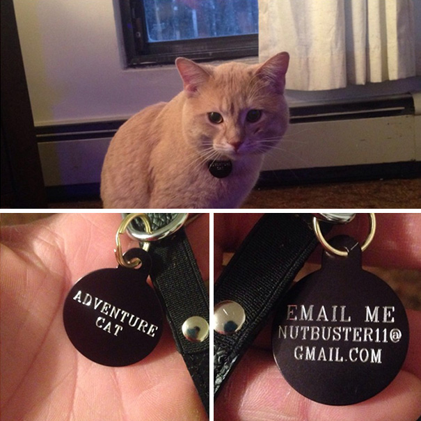 divertidos-collares-identificativos-mascotas (7)