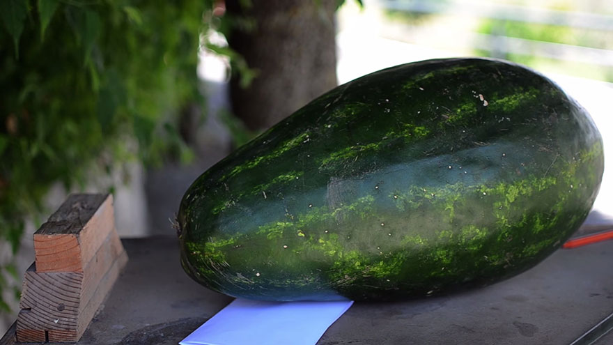 dragon-tallado-sandia-valeriano-fatica (1)