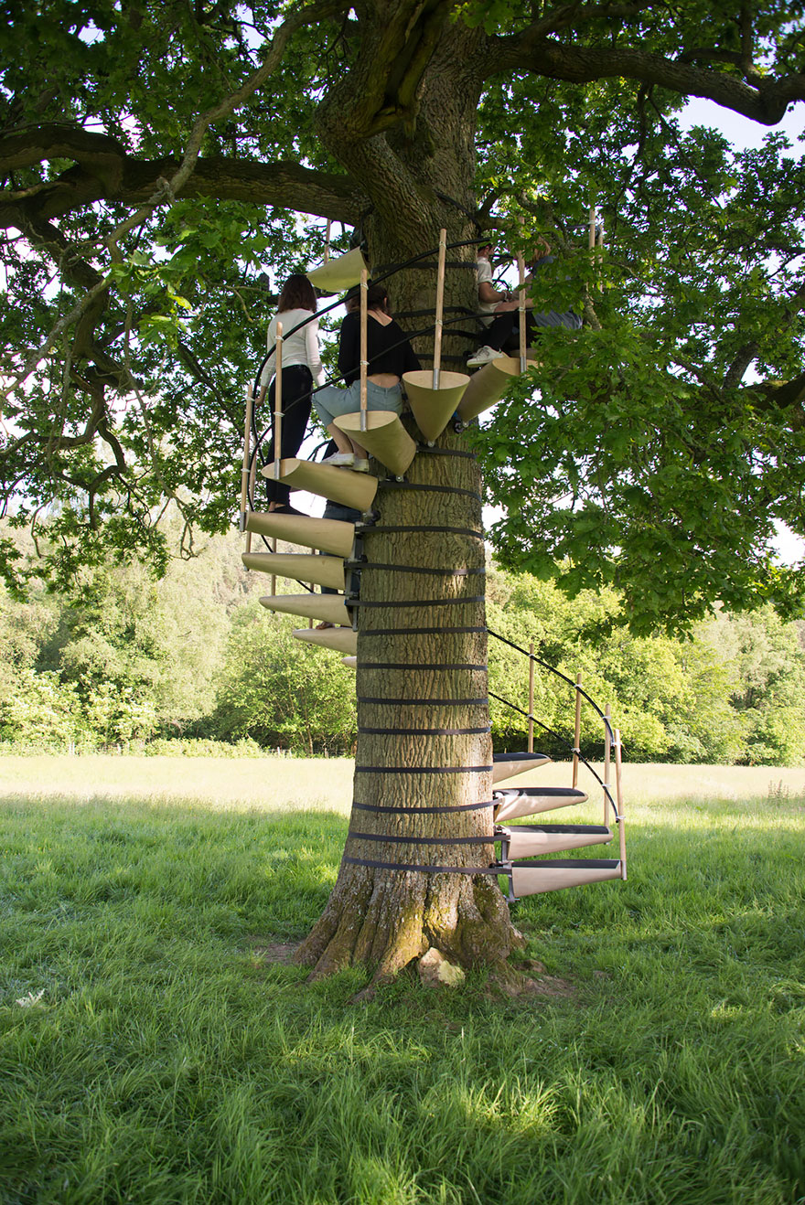 escaleras-caracol-arboles-thor-ter-kulve-robert-mcintyre (1)