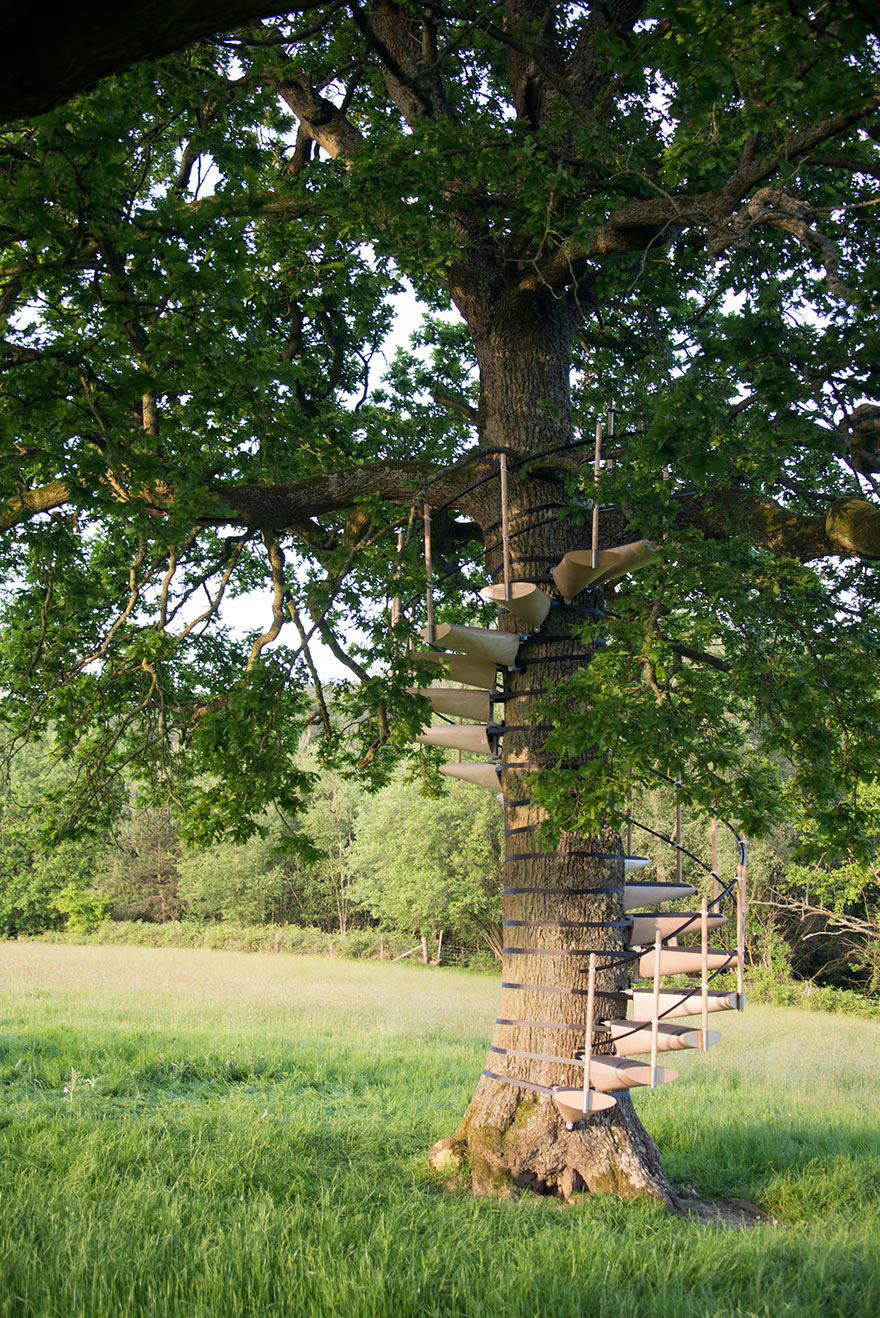 escaleras-caracol-arboles-thor-ter-kulve-robert-mcintyre (2)