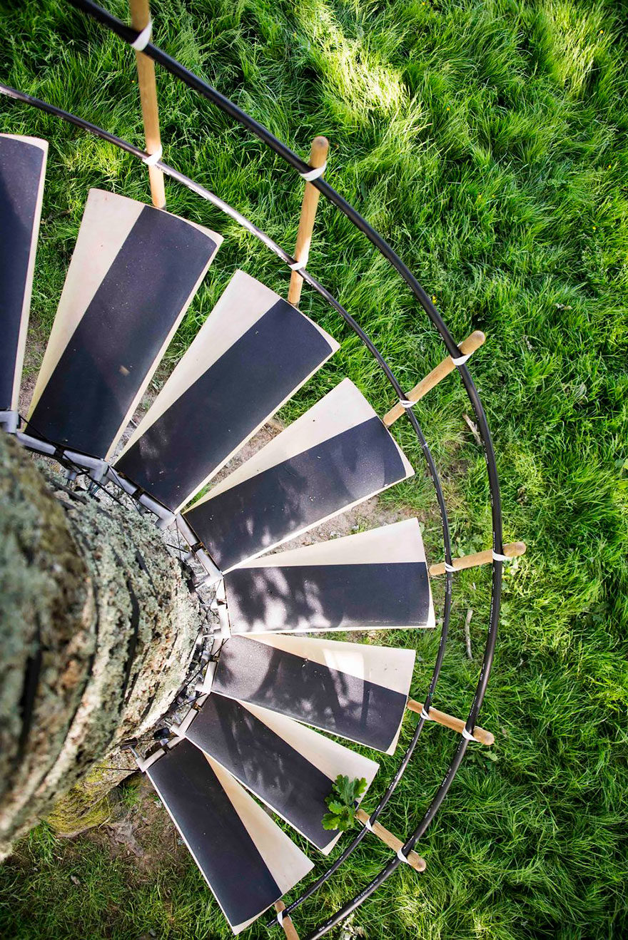 escaleras-caracol-arboles-thor-ter-kulve-robert-mcintyre (4)