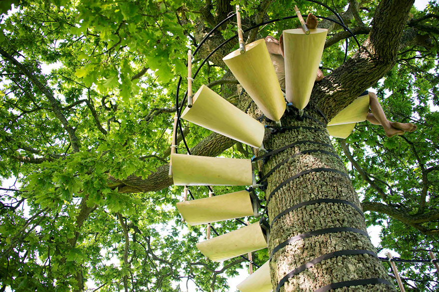 escaleras-caracol-arboles-thor-ter-kulve-robert-mcintyre (5)