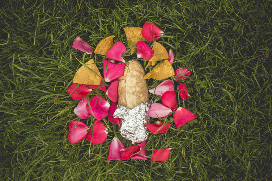fotos-romanticas-burrito-david-sikorsky (6)