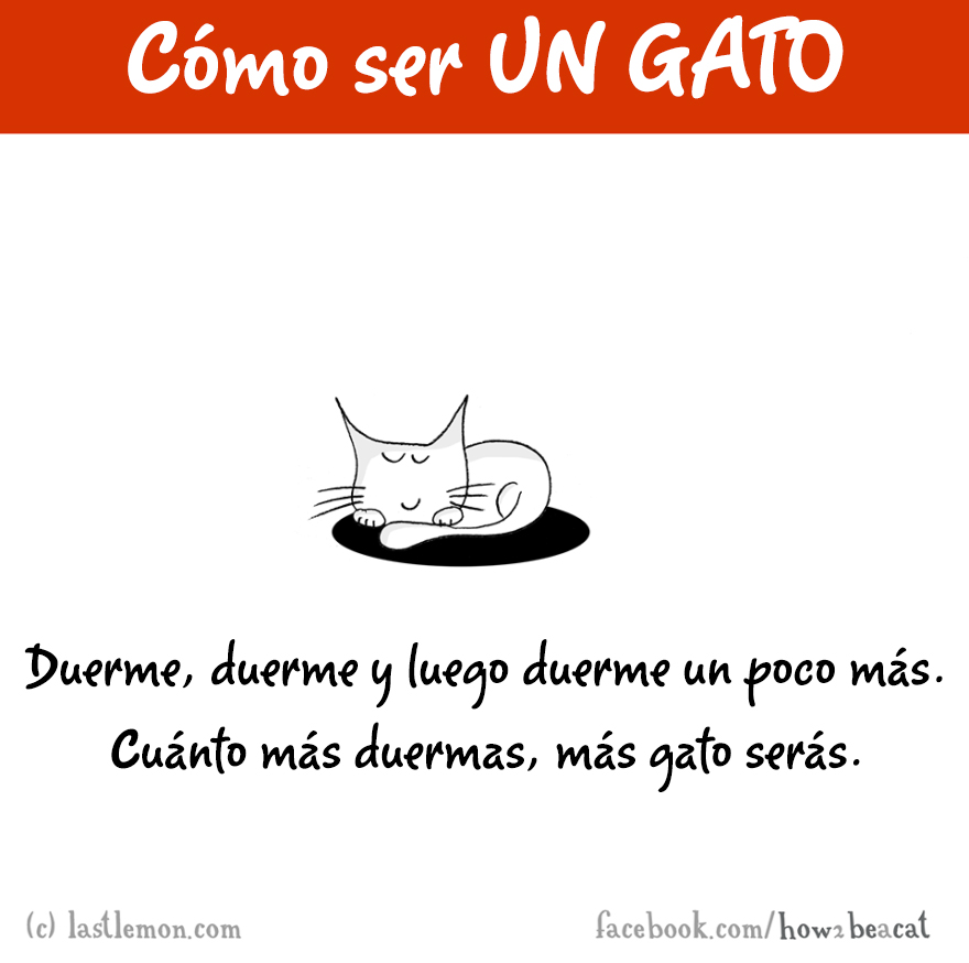 guia-ilustrada-como-ser-un-gato-last-lemon-1