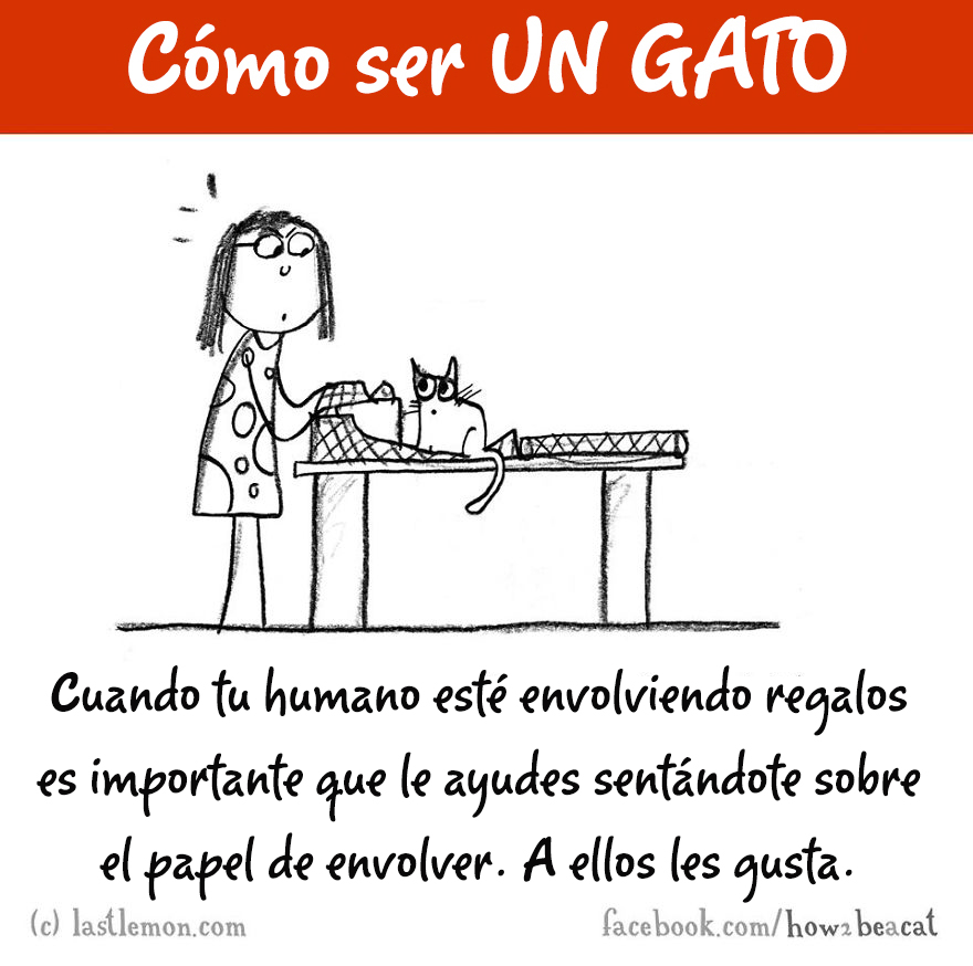 guia-ilustrada-como-ser-un-gato-last-lemon-10