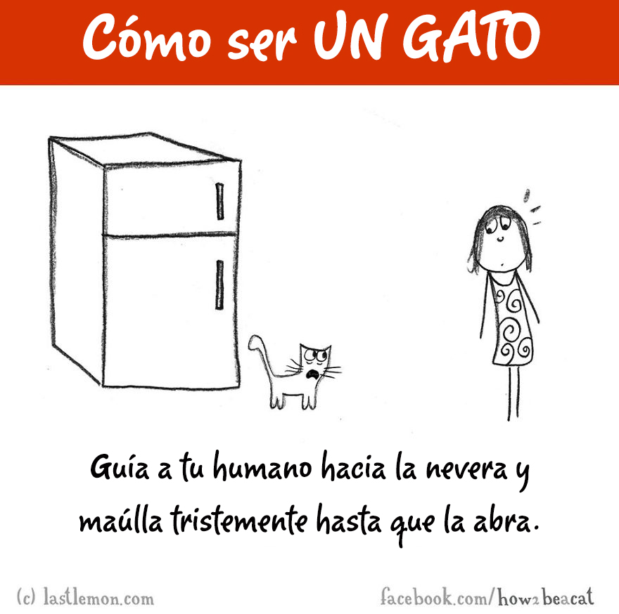 guia-ilustrada-como-ser-un-gato-last-lemon-14