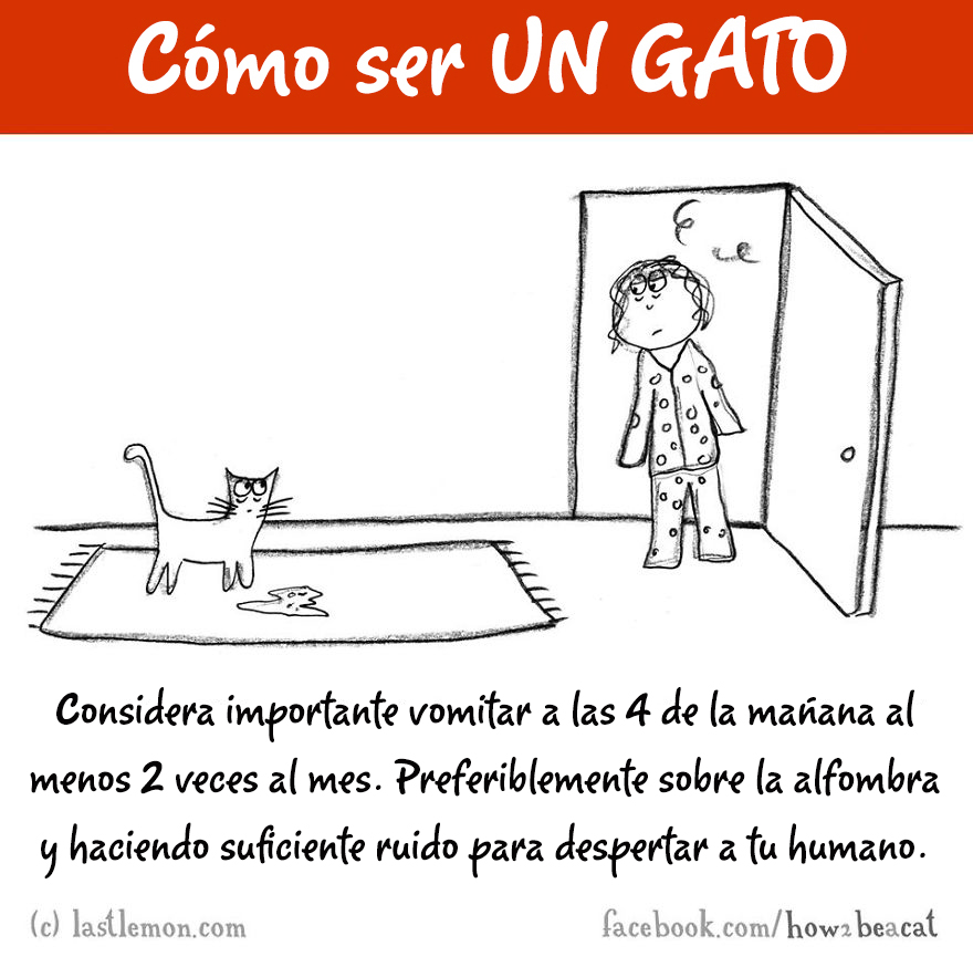 guia-ilustrada-como-ser-un-gato-last-lemon-15