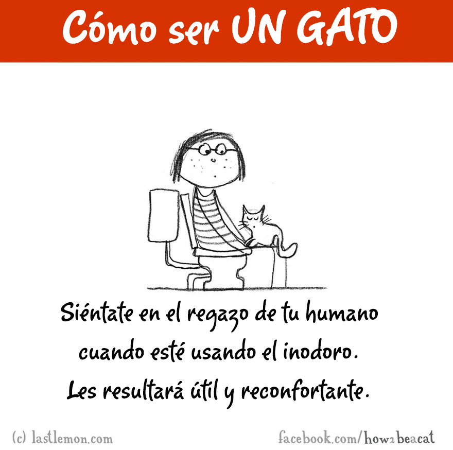 guia-ilustrada-como-ser-un-gato-last-lemon-3