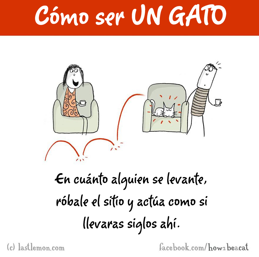 guia-ilustrada-como-ser-un-gato-last-lemon-5