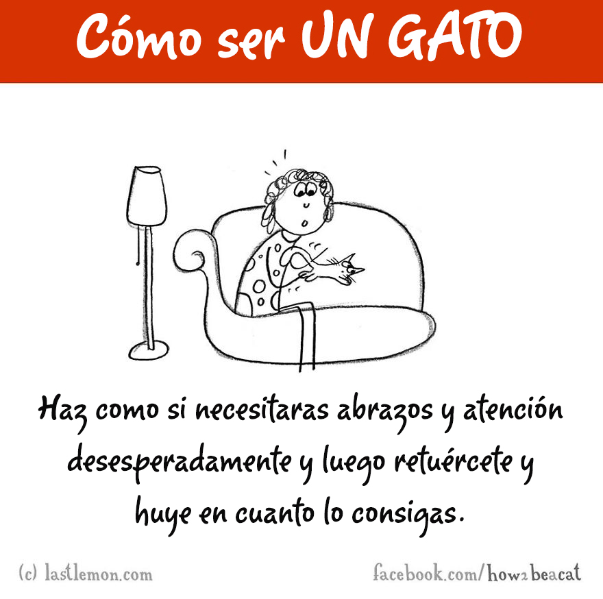 guia-ilustrada-como-ser-un-gato-last-lemon-8