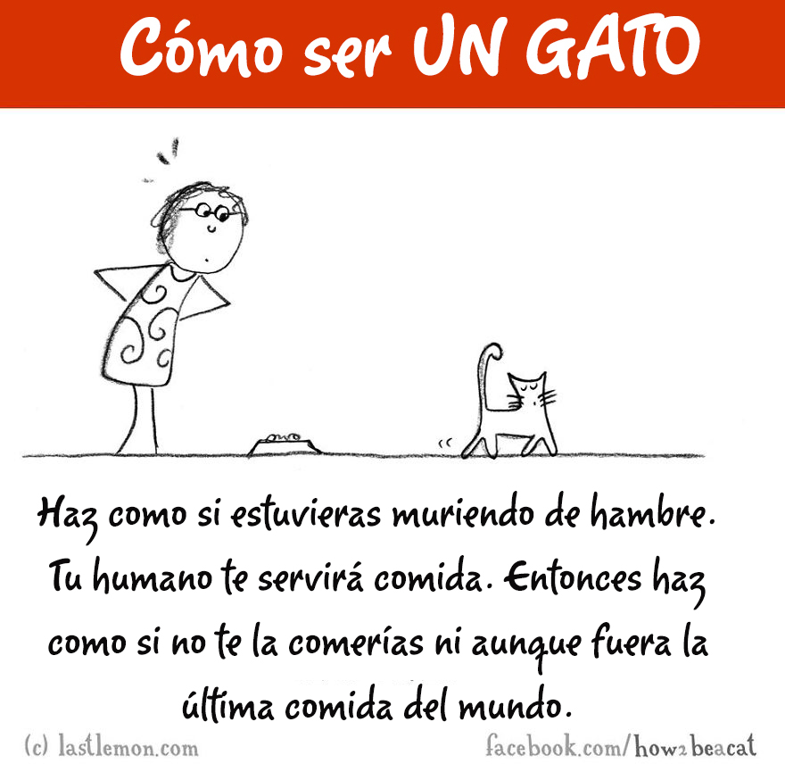 guia-ilustrada-como-ser-un-gato-last-lemon-9