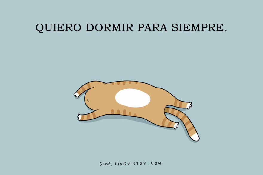 hechos-personas-dormilonas-lingvistov-12