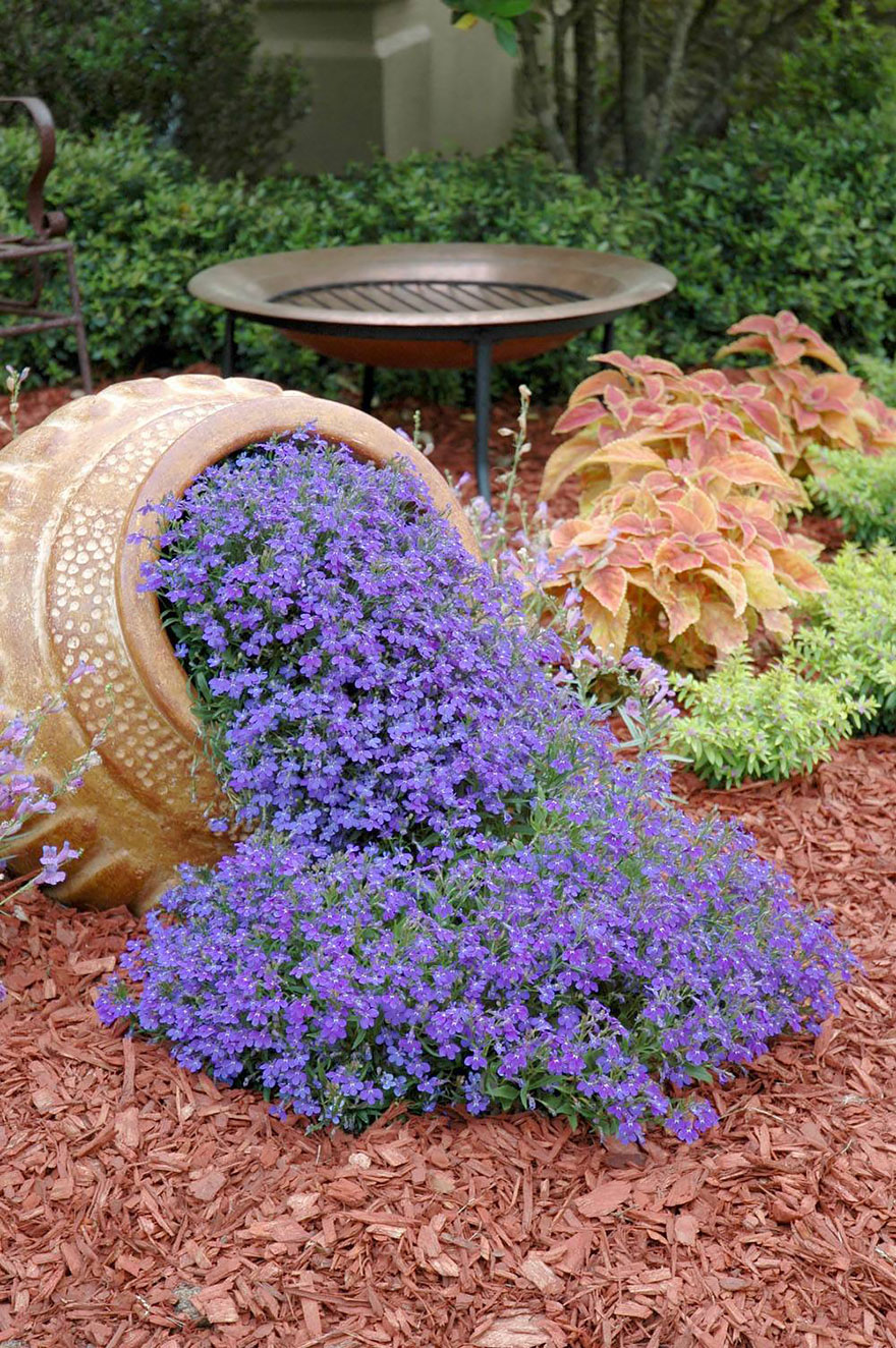 ideas-jardineria-flores-derramadas (1)