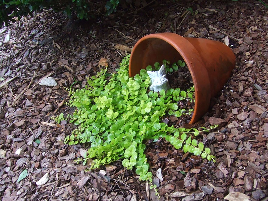 ideas-jardineria-flores-derramadas (10)