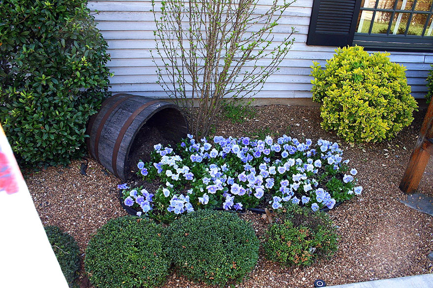 ideas-jardineria-flores-derramadas (12)