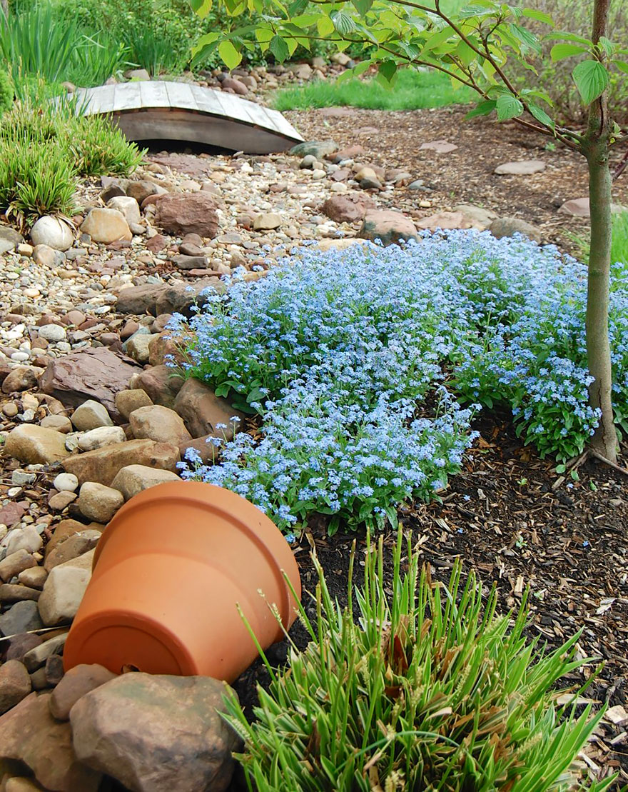 ideas-jardineria-flores-derramadas (13)