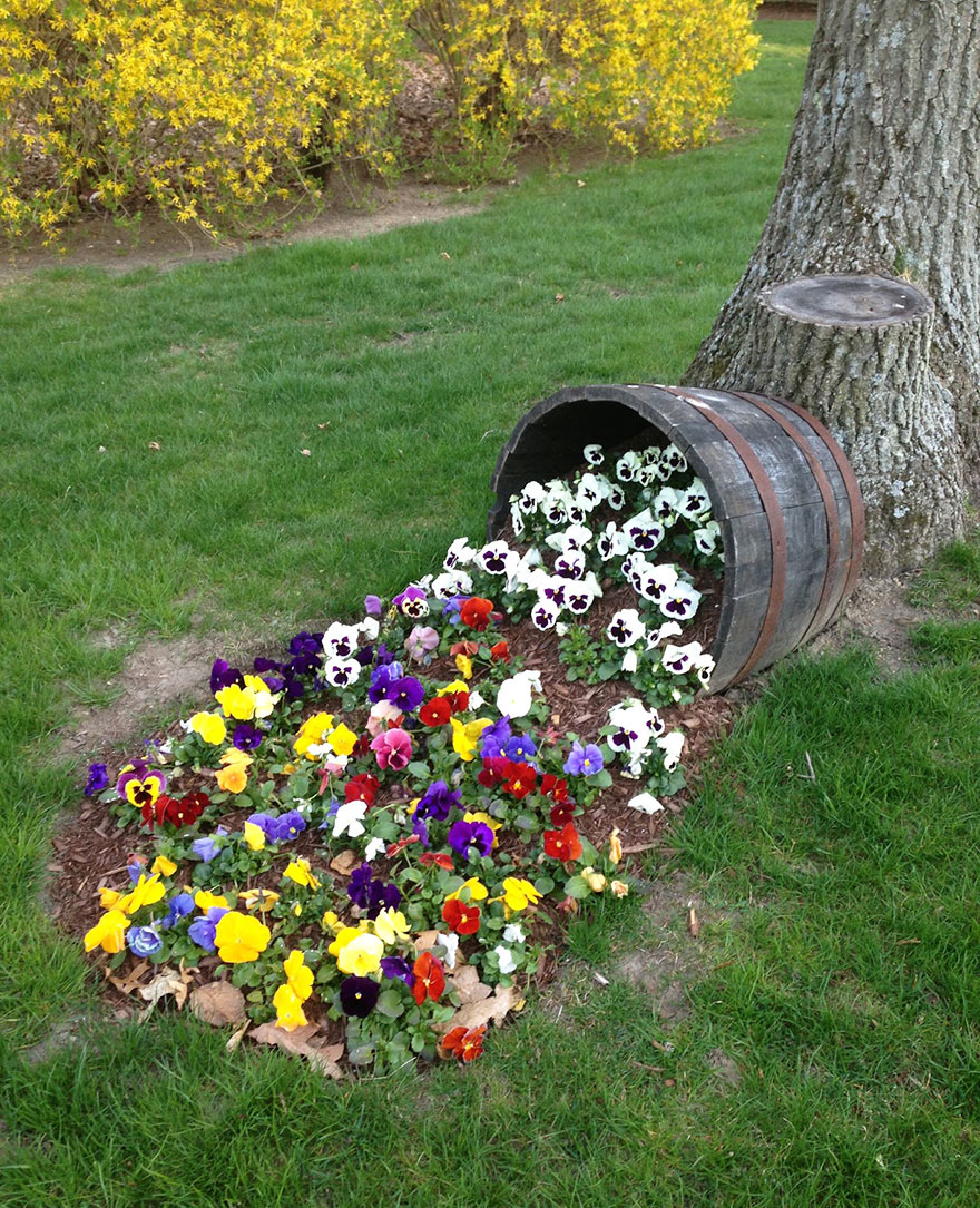 ideas-jardineria-flores-derramadas (14)