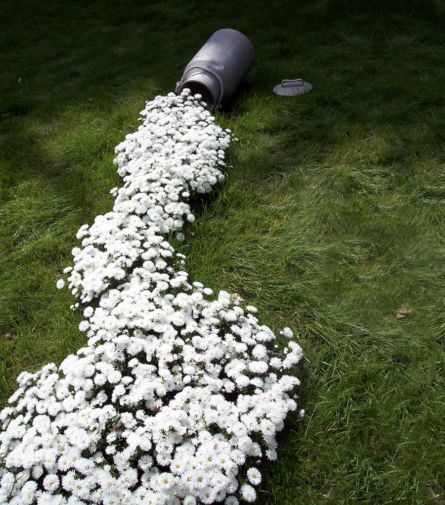 ideas-jardineria-flores-derramadas (2)