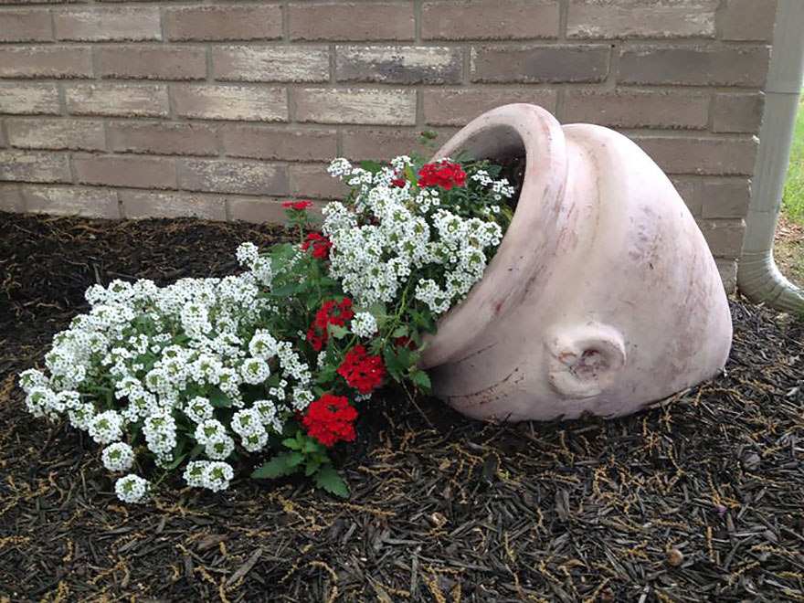 ideas-jardineria-flores-derramadas (3)