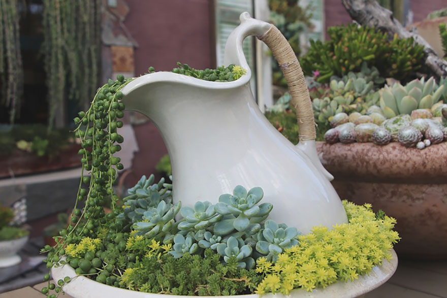ideas-jardineria-flores-derramadas (4)