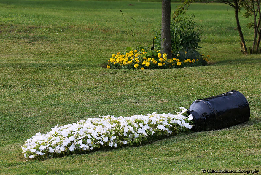ideas-jardineria-flores-derramadas (7)