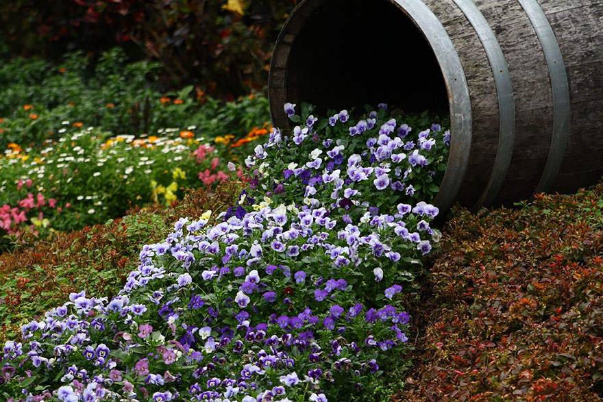 ideas-jardineria-flores-derramadas (9)