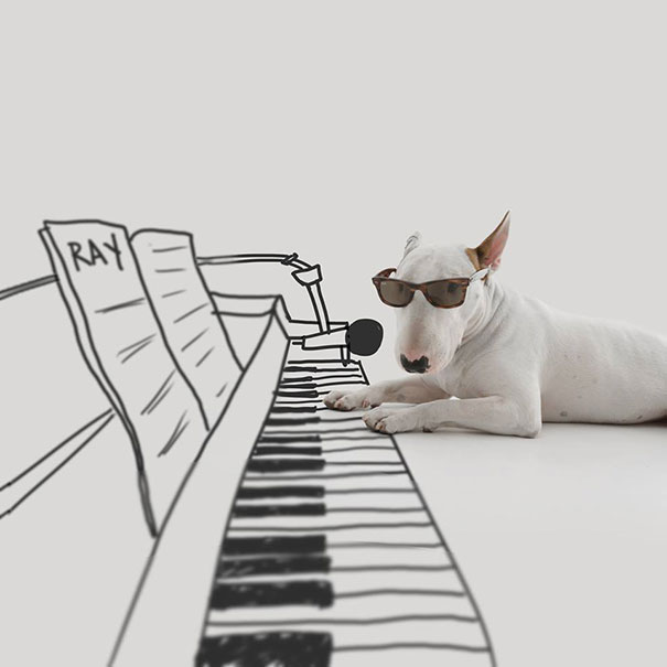 ilustraciones-interactivas-perro-jimmy-choo-rafael-mantesso (11)
