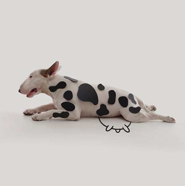 ilustraciones-interactivas-perro-jimmy-choo-rafael-mantesso (12)