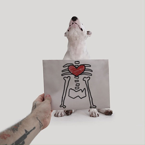 ilustraciones-interactivas-perro-jimmy-choo-rafael-mantesso (14)
