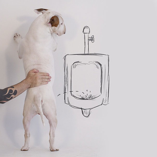 ilustraciones-interactivas-perro-jimmy-choo-rafael-mantesso (15)