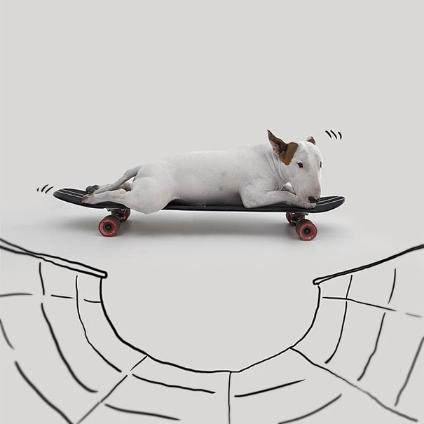 ilustraciones-interactivas-perro-jimmy-choo-rafael-mantesso (19)