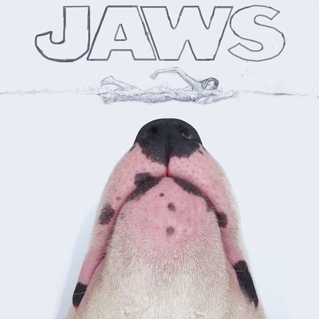 ilustraciones-interactivas-perro-jimmy-choo-rafael-mantesso (2)